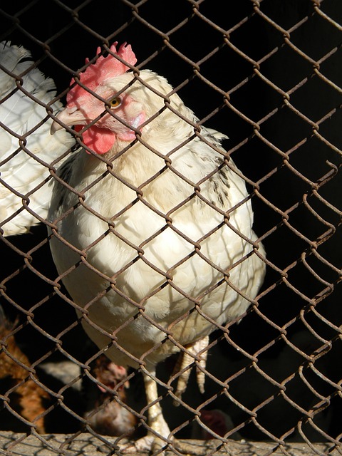 他们正在通 他们正在通