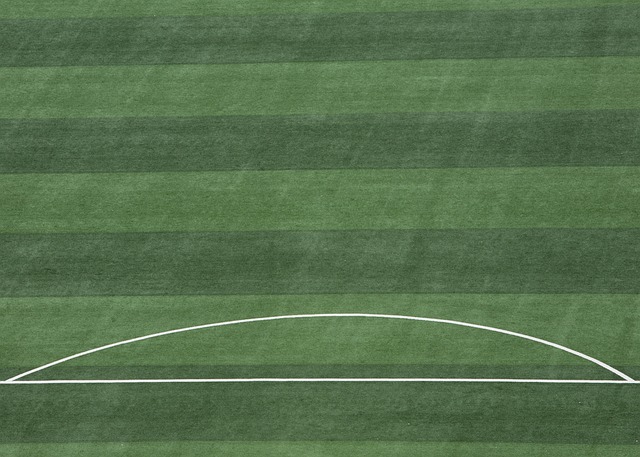 对于他们而 对于他们而