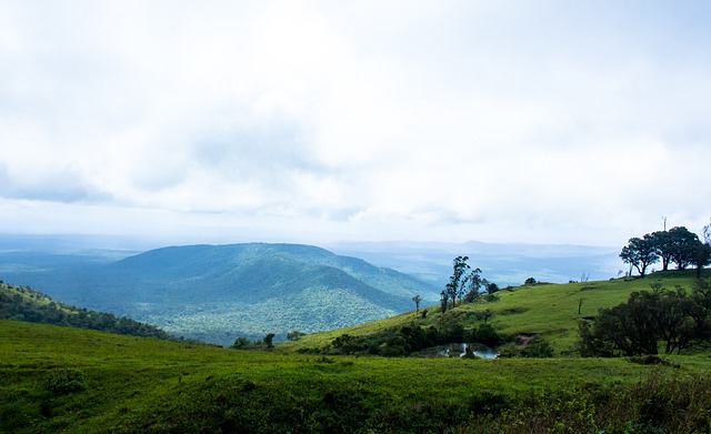 我们不难预 我们不难预