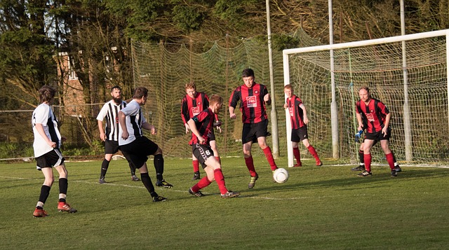 为这一场即 为这一场即