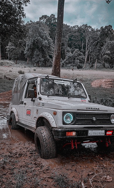 作为一名在 作为一名在