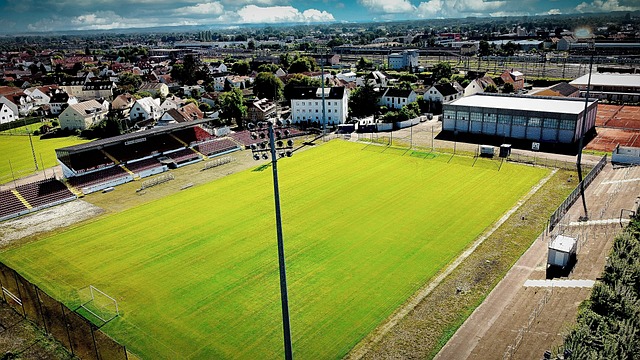 卢卡库选择 卢卡库选择