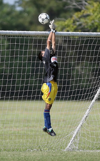 全賽季貢獻 全賽季貢獻