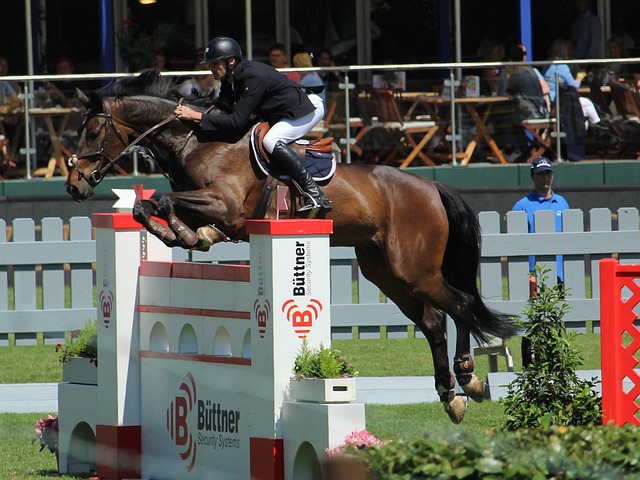 这种氛围如 这种氛围如