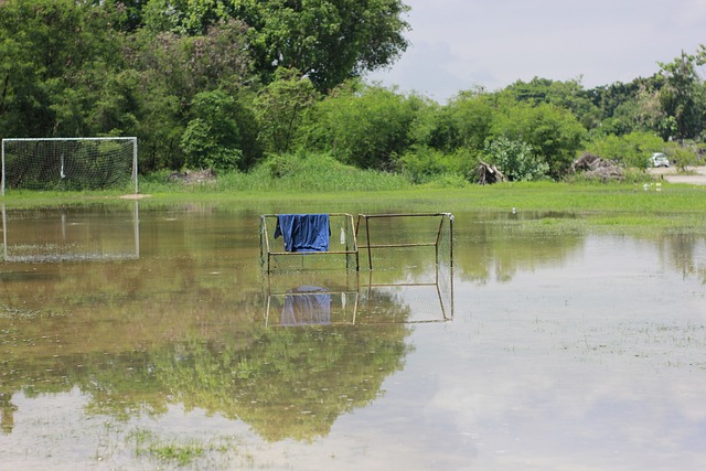 以孙杨和张 以孙杨和张