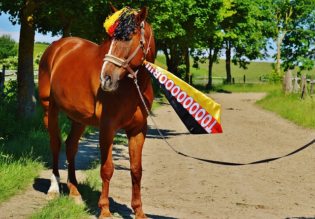 皮耶罗：尤文没有对手的取胜决心，意甲三队只有米兰情有可原.