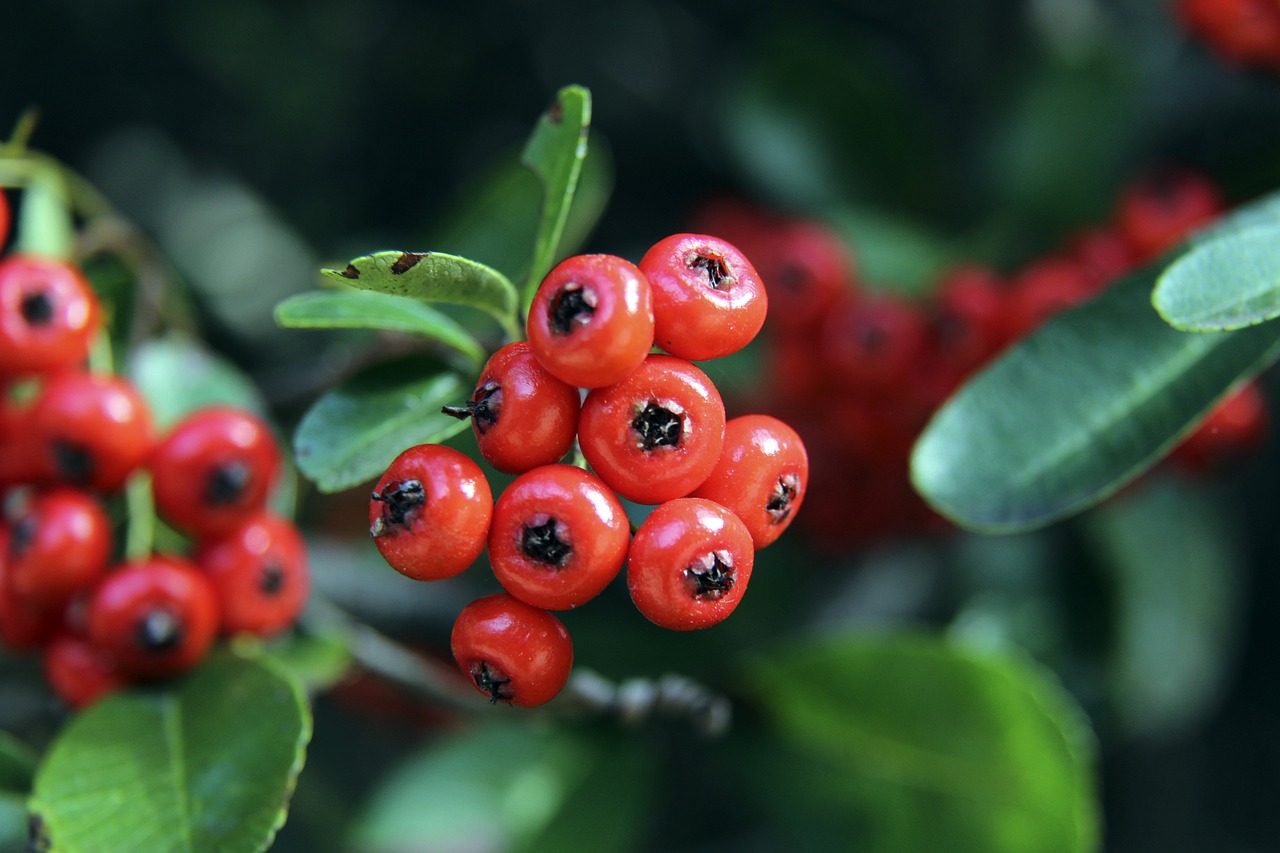 西班牙高校远程教育模式，颠覆你的认知.