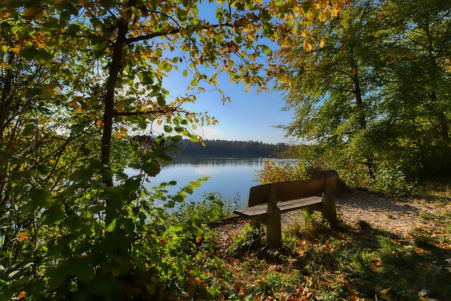 后赛资格而 后赛资格而